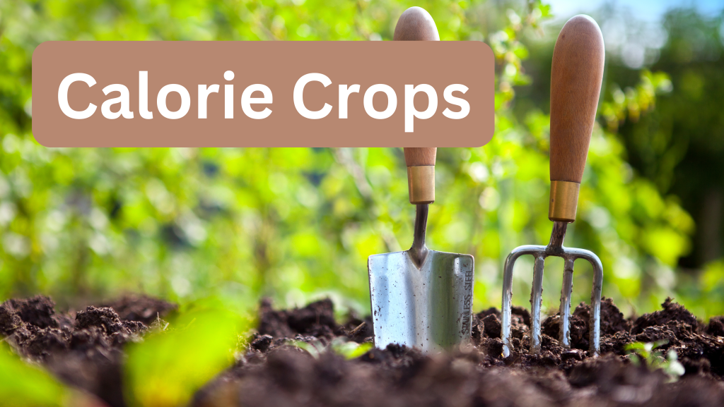 Calorie Crops