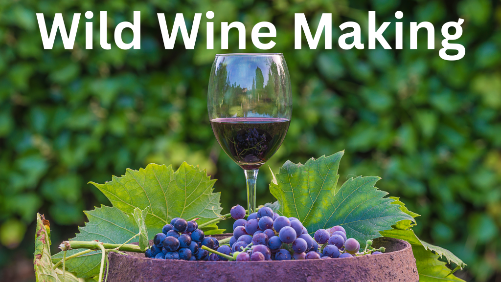 Wild Wine Making